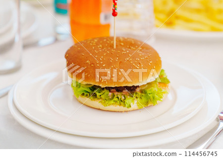 A burger on a plate with a funny skewer.  114456745