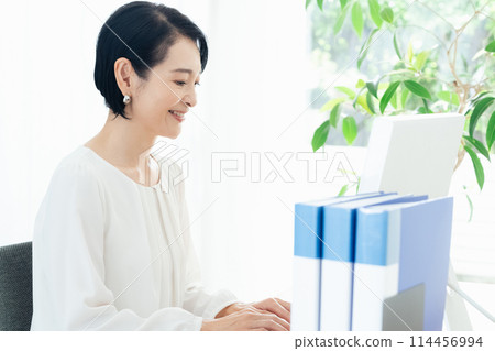 做個人計算機操作的女商人 114456994