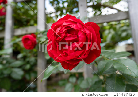 赤山城週邊（赤山歷史自然公園） 114457429