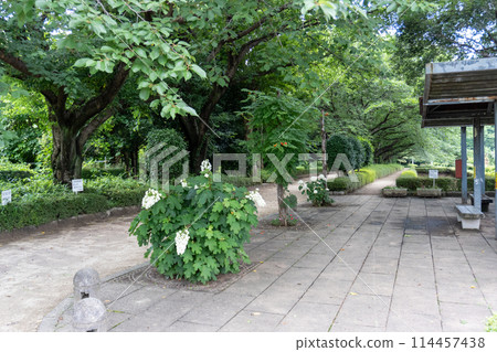 赤山城週邊(赤山歷史自然公園) 赤山城週邊(赤山歷史自然公園) 114457438