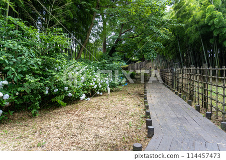 赤山城週邊（赤山歷史自然公園） 114457473