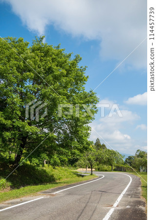Fresh greenery and roads in early summer Fresh greenery and roads in early summer 114457739