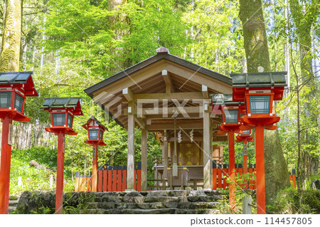 Fresh greenery in Kyoto - Kifune Shrine Association (Chūgū) Main Hall 114457805