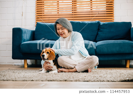 Warm moments, An old lady sits on the sofa, embracing her Beagle puppy in their living room. Their friendship and happiness make this home a haven of love and warmth. Pet love 114457953