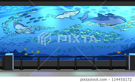 Background of an aquarium with many fish swimming Background of an aquarium with many fish swimming 114458172
