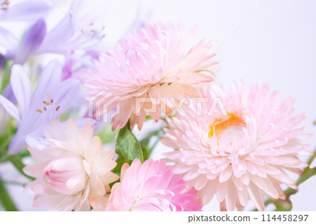 Background of pale blue agapanthus and pale pink daisy 114458297