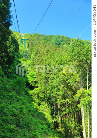 [奈良縣] 晴天葛城山索道 114458643
