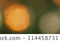 Spectacular Sunset Shining Through A Forest Silhouette In Spring. Beautiful Nature Background. Bokeh. 114458731