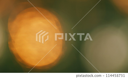 Spectacular Sunset Shining Through A Forest Silhouette In Spring. Beautiful Nature Background. Bokeh. Spectacular Sunset Shining Through A Forest Silhouette In Spring. Beautiful Nature Background. Bokeh. 114458731
