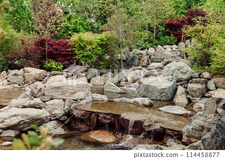 Japanese garden in Krasnodar park. Traditional japan park with river 114458877
