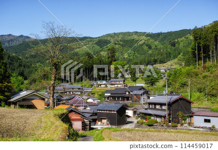 This is a scene from early summer in the Hata area of Takashima City, Shiga Prefecture. 114459017