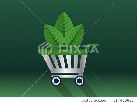 Eco shopping cart Eco shopping cart 114459633