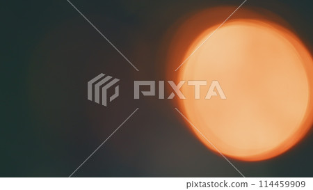 Beautiful Sunny Abstract Blurry Autumn Landscape. Forest Green Background. Autumn Bokeh Background. Blur. 114459909