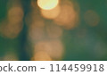 Park In Sunny Day. Abstract Colorful Atmosphere In Evening Bokeh. Beautiful Nature Bokeh Background. Blur. 114459918