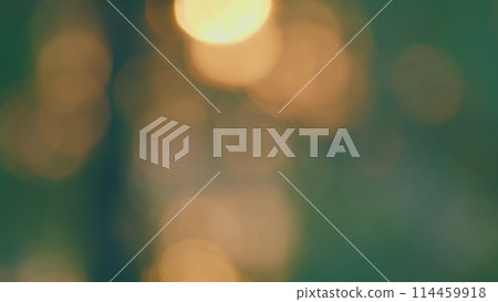 Park In Sunny Day. Abstract Colorful Atmosphere In Evening Bokeh. Beautiful Nature Bokeh Background. Blur. Park In Sunny Day. Abstract Colorful Atmosphere In Evening Bokeh. Beautiful Nature Bokeh Background. Blur. 114459918