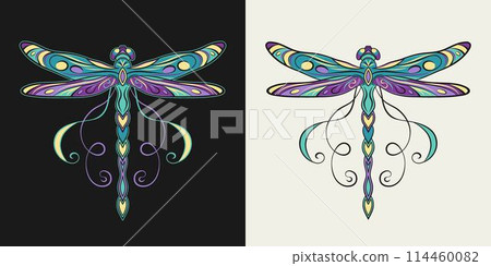 Fantasy colored dragonfly with curled antennae, stretched wings in Art Nouveau style. Single isolated colorful illustration in vintage style. Top view. 114460082