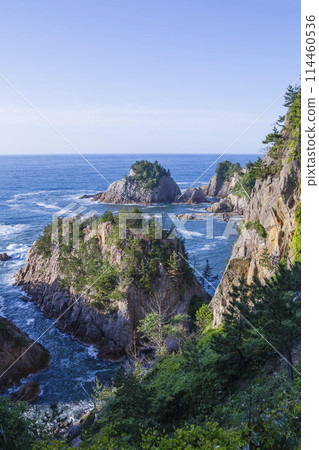 Scenery of Uradome Coast in spring Tottori Prefecture Uradome Coast Scenery of Uradome Coast in spring Tottori Prefecture Uradome Coast 114460536