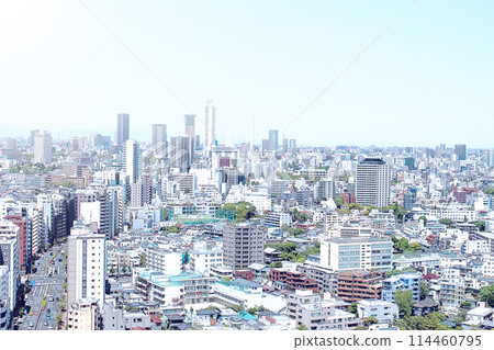 東京（插畫風格） 114460795