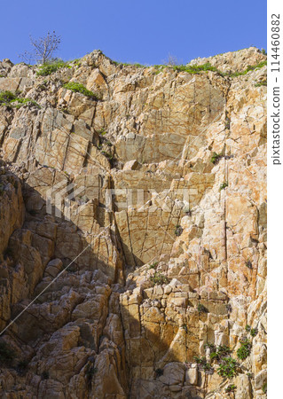 Scenery of Uradome Coast in spring Tottori Prefecture Uradome Coast 114460882