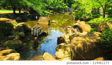 Various scenes of Warabi City Park (Tsukagoshi, Warabi City, Saitama Prefecture) 114461175