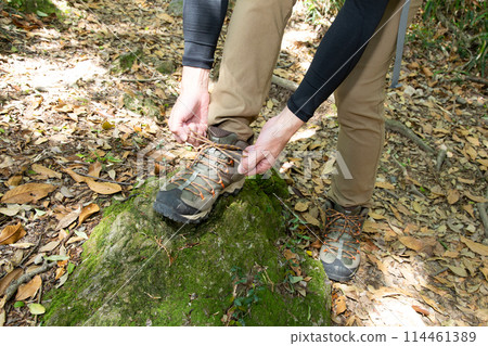 健行、健行、登山影像 114461389