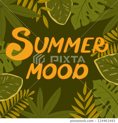 Summer mood concept design, square illustration with exotic jungle leaves 114461493