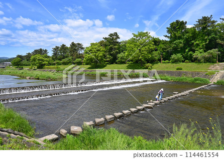 京都市北區鴨川 踏腳石的寧靜風景 114461554