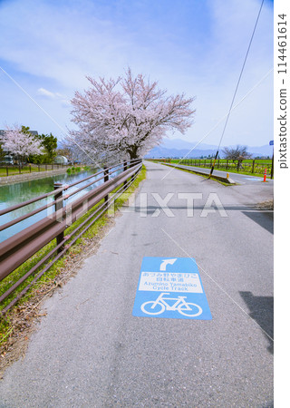 Azumino Yamabiko Bicycle Path running parallel to Shikaseki [Azumino City] 114461614
