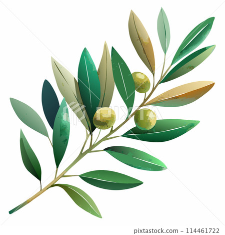A leafy olive wreath tree with three olives on it. The olive tree is green and has a few brown spots 114461722