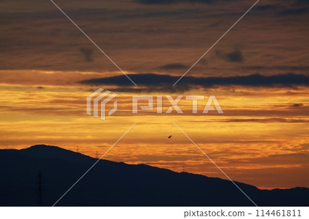夏末黎明的天空，彩雲，超廣角，基於天空，210928am 114461811