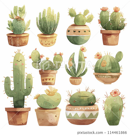 A collection of potted cacti in various sizes and colors. The potted plants are arranged in a way that creates a sense of depth and dimension A collection of potted cacti in various sizes and colors. The potted plants are arranged in a way that creates a sense of depth and dimension 114461866