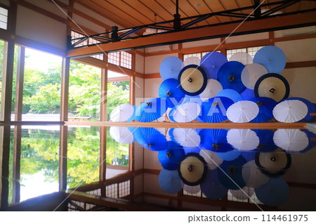 夏天的報德寺 夏天的報德寺 114461975
