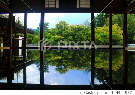 夏天的報德寺 114461977