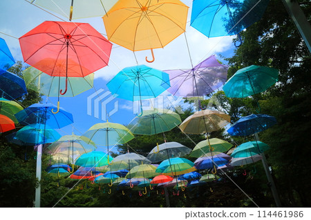 夏天的報德寺 夏天的報德寺 114461986