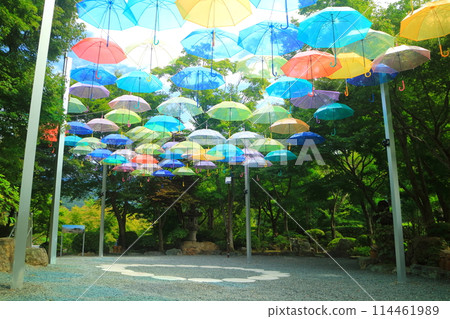 夏天的報德寺 夏天的報德寺 114461989