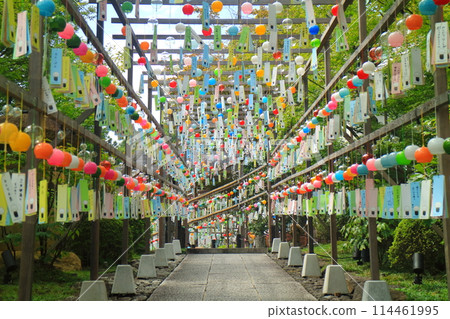 夏天的報德寺 夏天的報德寺 114461995