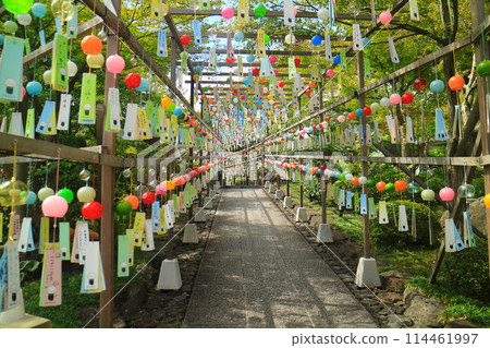 夏天的報德寺 夏天的報德寺 114461997