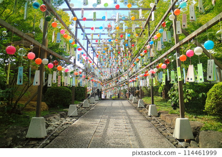 夏天的報德寺 夏天的報德寺 114461999