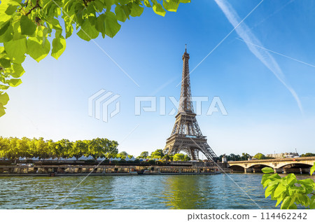 Eiffel Tower at daytime Eiffel Tower at daytime 114462242