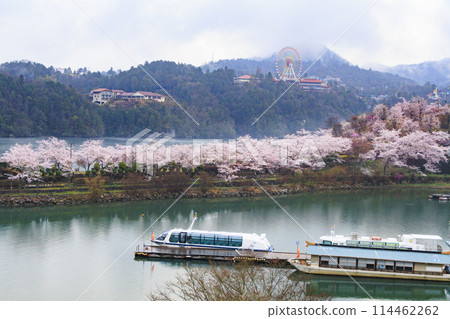 Ena Gorge with cherry blossoms in full bloom 114462262