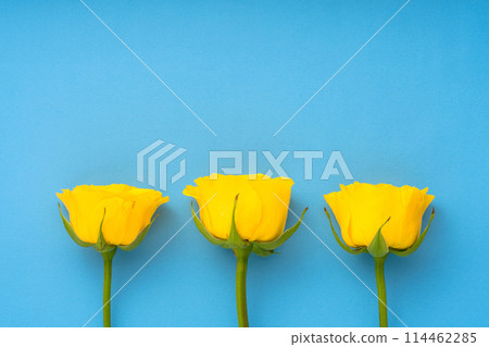 Three roses lined up 114462285