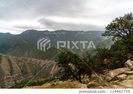 Caucasian mountain. Dagestan. Trees, rocks, mountains, view of the green mountains. Beautiful summer landscape. Caucasian mountain. Dagestan. Trees, rocks, mountains, view of the green mountains. Beautiful summer landscape. 114462759