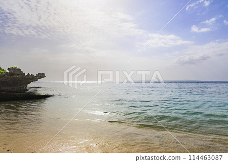 沖繩美麗海（海洋博覽會紀念公園） 114463087