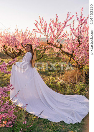 Woman blooming peach orchard. Against the backdrop of a picturesque peach orchard, a woman in a long white dress and hat enjoys a peaceful walk in the park, surrounded by the beauty of nature. Woman blooming peach orchard. Against the backdrop of a picturesque peach orchard, a woman in a long white dress and hat enjoys a peaceful walk in the park, surrounded by the beauty of nature. 114463130
