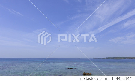 沖繩美麗海（海洋博覽會紀念公園） 114463144