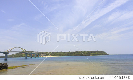 沖繩美麗海（海洋博覽會紀念公園） 114463228