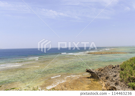 The beautiful sea of Okinawa (Ocean Expo Memorial Park) 114463236