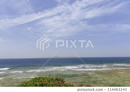 The beautiful sea of Okinawa (Ocean Expo Memorial Park) 114463243