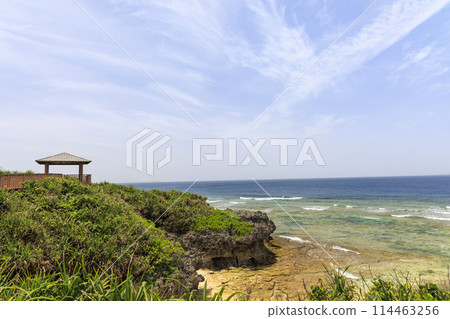 沖繩美麗海（海洋博覽會紀念公園） 114463256