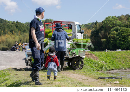 孩子和家人一起觀察水稻種植 孩子和家人一起觀察水稻種植 114464180